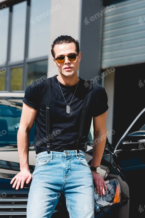 Preview: handsome stylish man in sunglasses and tag dog posing near car