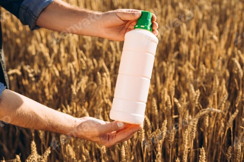 Preview: Farmer holding pesticide bottle in wheat field for pest control selective focus