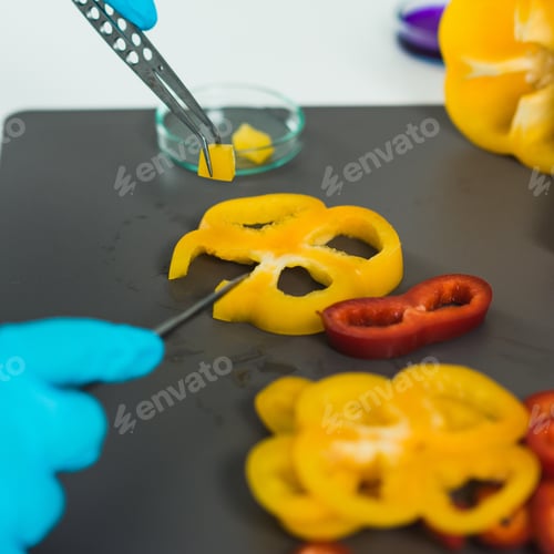 Preview: Quality control food safety inspector working with vegetables in