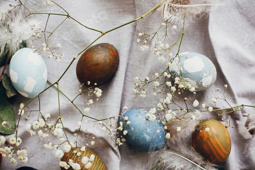 Preview: Natural dyed colorful easter eggs with spring white flowers and feathers