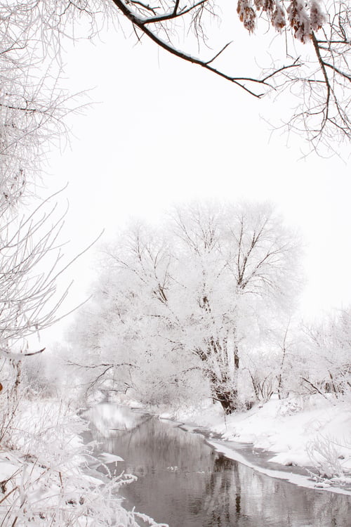 Preview: Snow-covered landscape of open spaces near the river. Snowy weather