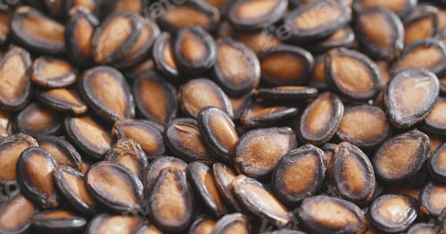 Preview: Black Melon Seeds