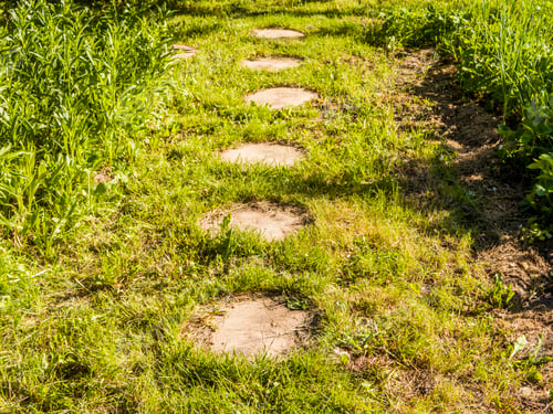 Preview: footpath on a green lawn made from a wooden saw cuts pieces of tree
