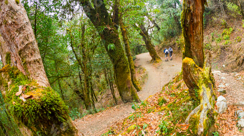 Preview: Hikkers on Route, Trek to Annapurna Base Camp, Nepal
