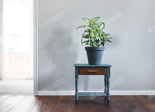 Preview: Potted Plant on Small Blue Table Indoors