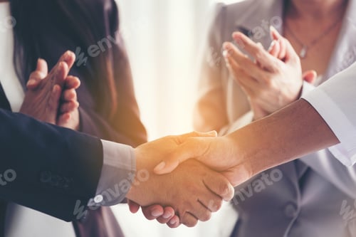 Preview: Business making handshakes