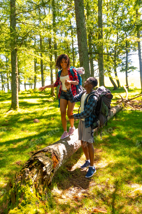 Preview: Hikers walking on fallen tree trunk in forest