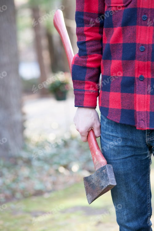 Preview: Cropped image of mid adult man in forest holding an axe