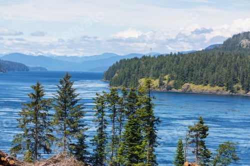 Preview: Vancouver island