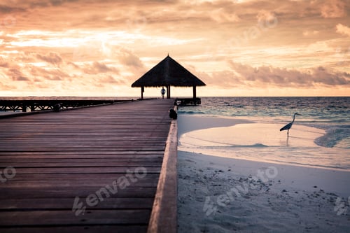Preview: Tropical Beach In The Maldives