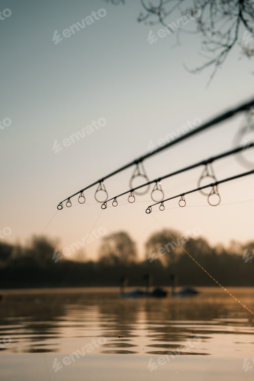 Preview: Carp fishing rods and reels on a lake, sunrise angling scene