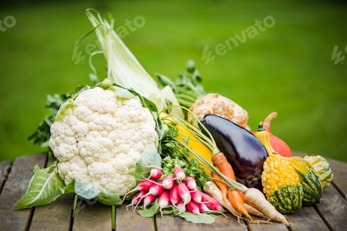 Preview: Freshly picked vegetables on garden table