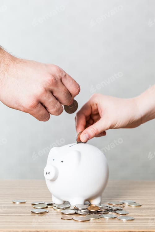 Preview: Inserting a coin into a piggy bank