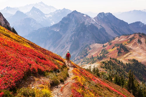 Preview: Hike in autumn season