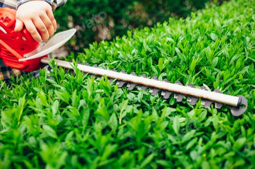 Preview: Cutting a shrub with an electric brush cutter