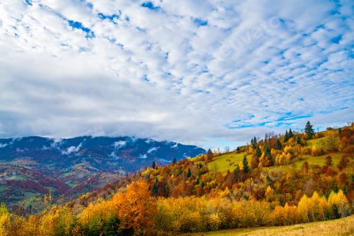 Preview: Colorful forests in the warm Carpathian mountains covered with thick gray fog