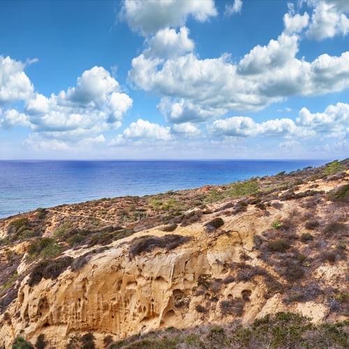 Preview: Torrey Pines State and Beach Park - San Diego, California, USA