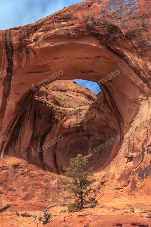 Preview: Bowtie Arch Landscape View, Moab Utah