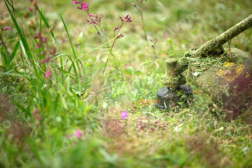 Preview: Trimer mows grass close-up. Fishing line in motion and grass particles in the air.