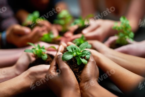 Preview: Conserving our future. Shot of a group of people each holding a plant growing in soil.