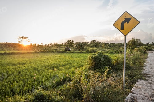 Preview: Yellow arrow sign and green field landscape at sunset, Lombok, Indonesia
