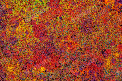 Preview: Colorful background made of Indian colorful dyes