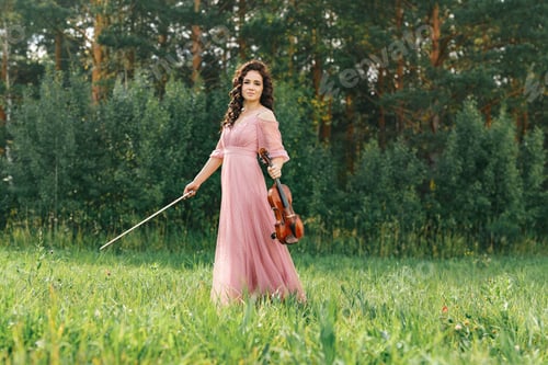 Preview: violin
