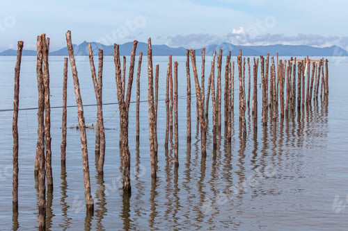 Preview: Wooden sticks stuck in the sea
