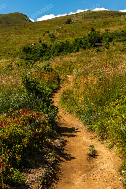Preview: Wilderness and scenic nature and alpine landscape at summer in Bieszczady Mountains, Poland