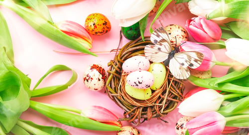 Preview: Spring Easter holiday pink background with tulips, quail eggs, butterflies in a nest. Top view