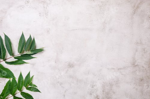 Preview: grassy foliage on textured background.