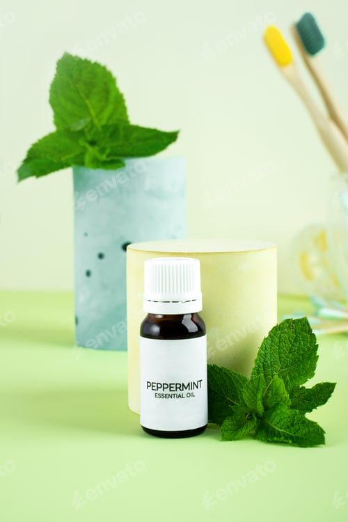 Preview: glass bottle of peppermint oil and fresh mint on a green background. Healthy skin, hair, facial and