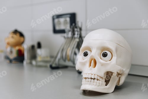 Preview: Closeup shot of a white skull