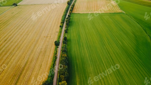 Preview: Aerial view of railway road among agricultural fields in summer day.