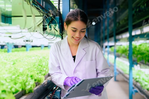 Preview: Researchers developing vegetable varieties at greenhouse agriculture
