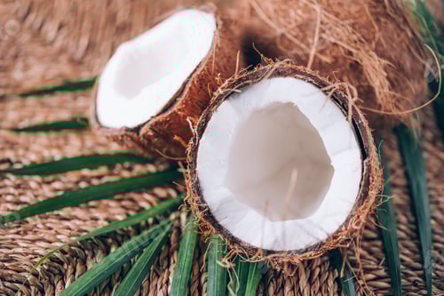 Preview: Fresh Coconut Halves and Tropical Leaves Still Life
