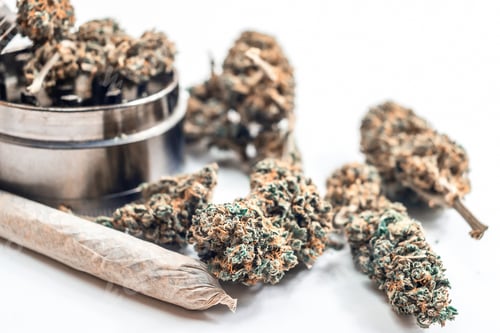 Preview: Close up of Cannabis joint and flower buds