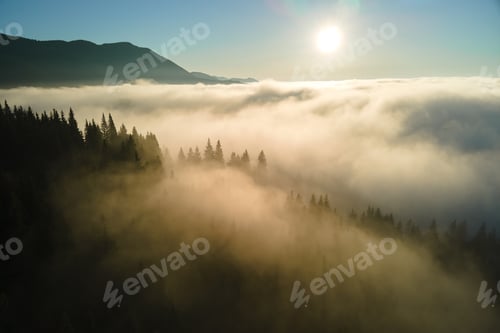 Preview: Aerial view of amazing scenery with foggy dark mountain forest pine trees at autumn