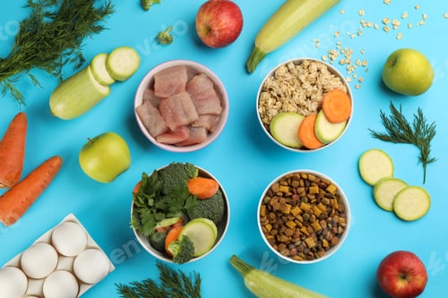 Preview: Pet food and natural ingredients on light blue background, flat lay
