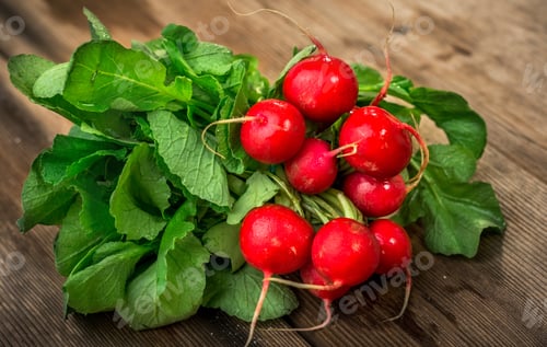 Preview: Bunch of fresh red radishes