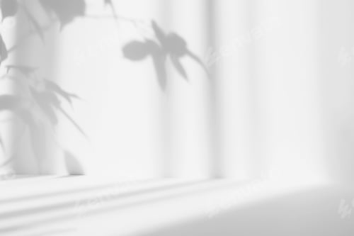Preview: Abstract white studio background for product presentation. Empty room with shadows of leaves.