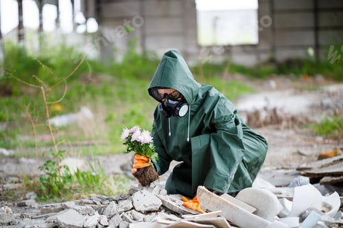 Preview: A man in a raincoat and gas mask collects a flower from a scorched, toxic land. Air pollution