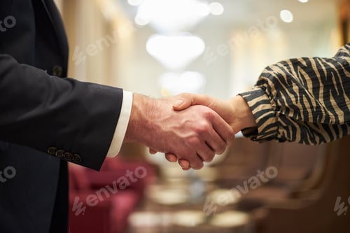 Preview: Formal Handshake Between Business Professionals in Office