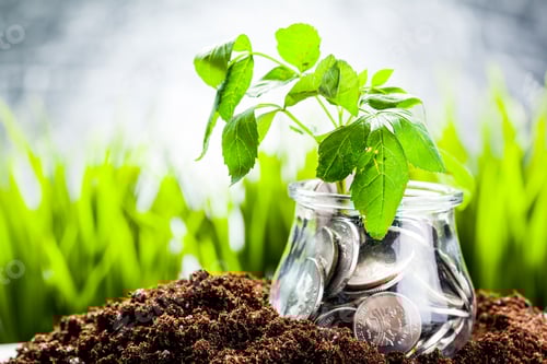 Preview: Plant Growing In Savings Coins - Investment And Interest Concept