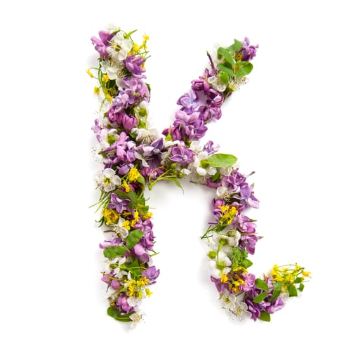 Preview: The letter «K» made of various natural small flowers.