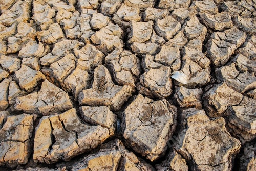 Preview: Cracked Earth Texture, Arid Land, Dry Soil