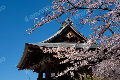 Preview: Two-tiered Japanese pagoda with cherry blossoms, vibrant spring scenery.