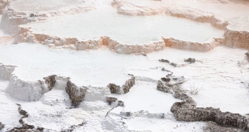 Preview: Hot Spring Landscape with colorful ground formation. Mammoth Hot Springs, Yellowstone
