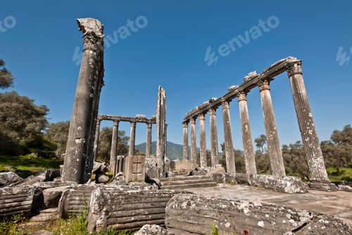Preview: Euromos, Aegean Turkey