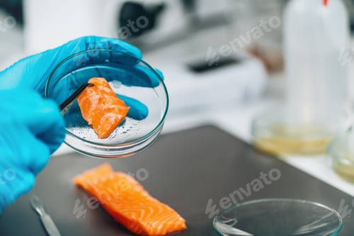 Preview: Food Safety and Quality Control - Microbiological Analysis of Salmon Fish in Laboratory